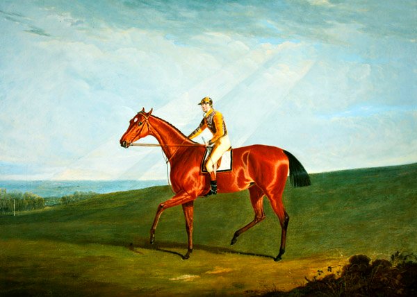 J. Jackson Up ile Ringlet, c.1823 (tuval üzerine yağlı boya) by John Frederick Herring Senior