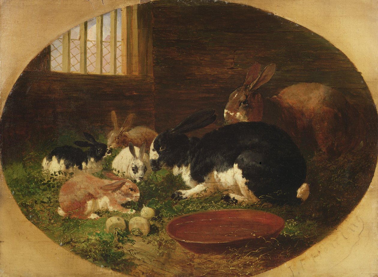 tavşan kafesi by John Frederick Herring Senior