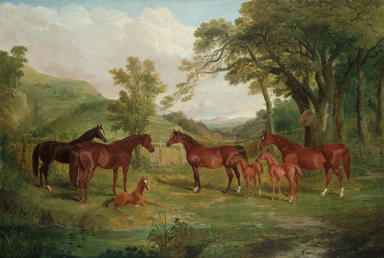 Streatlam Stud, Mares ve Foals, 1836 by John Frederick Herring Senior