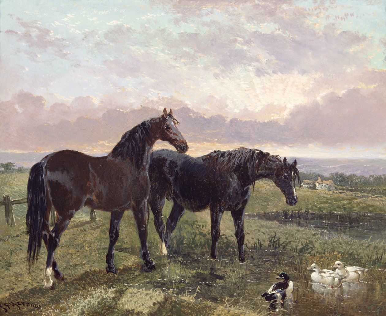 Gün batımında otlayan iki at by John Frederick Herring Senior