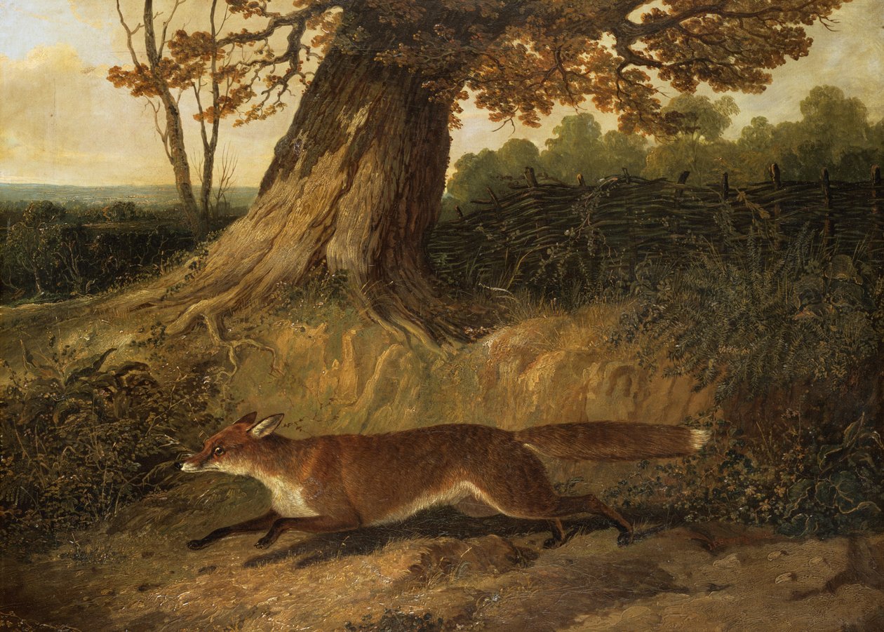 Bilinmeyen resim by John Frederick Herring Senior