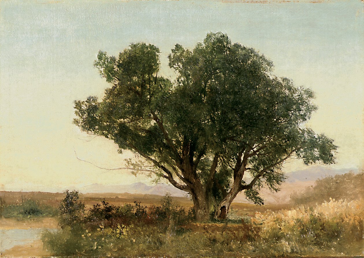 Ön Aralık, Colorado by John Frederick Kensett