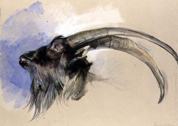 Bir steinbock başkanı by John Frederick Lewis