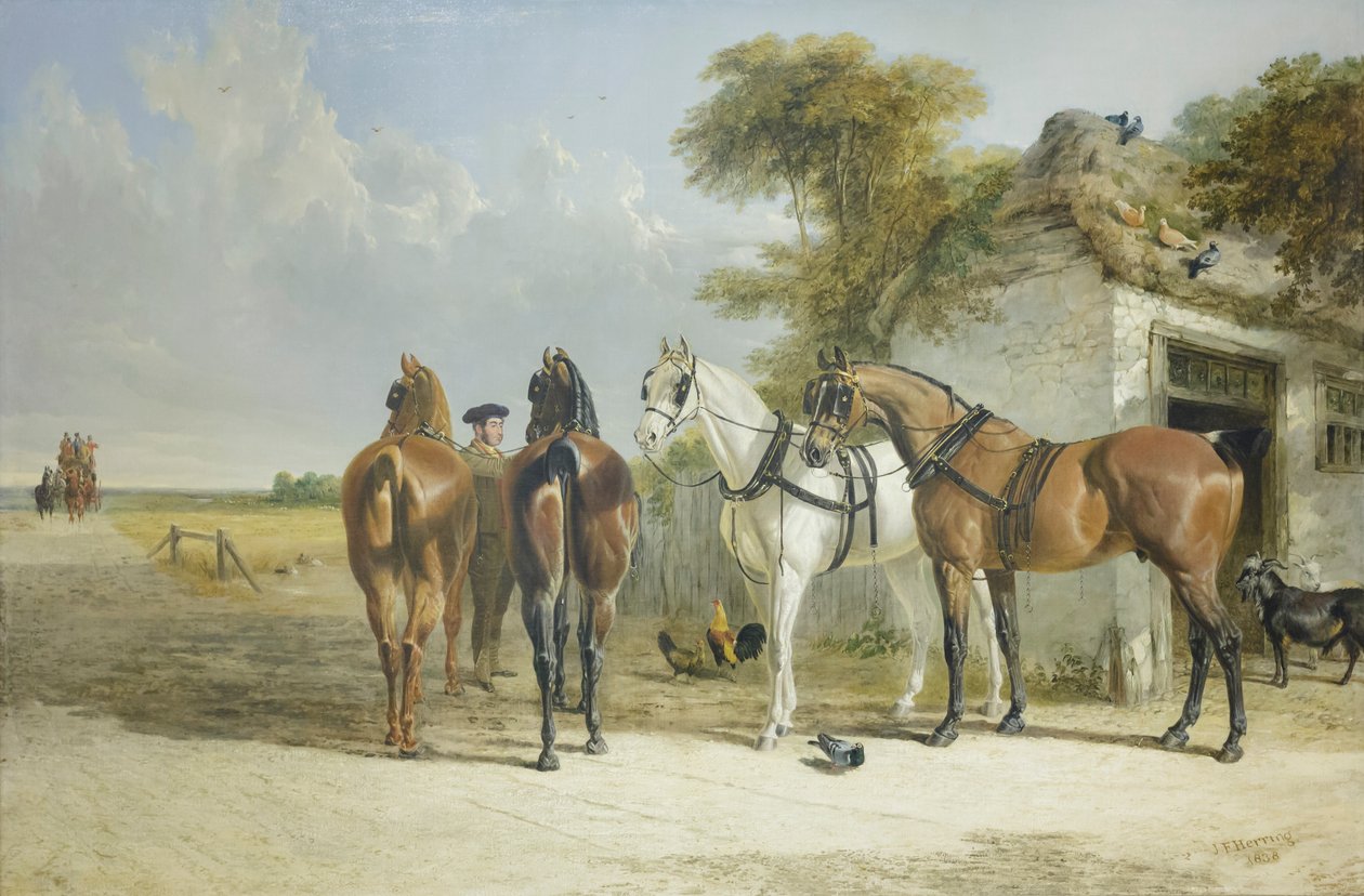  by John Frederick Senior Herring