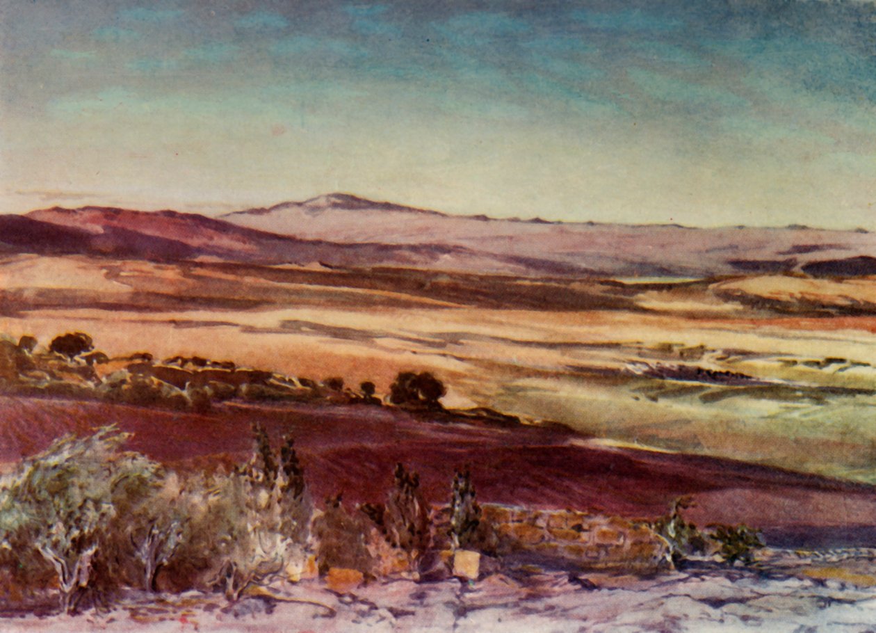 Tabor