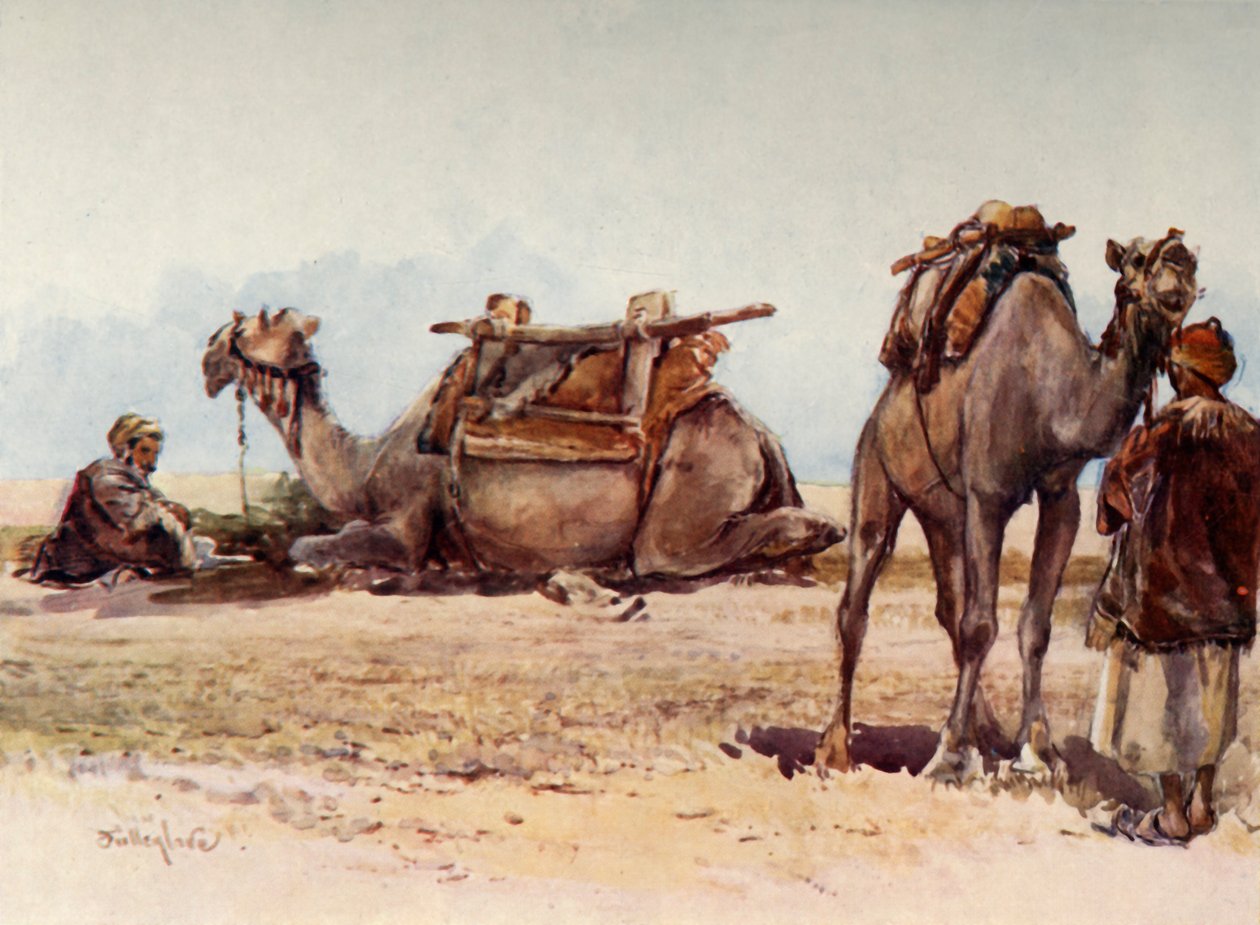Develer ve Hizmetlilerin İncelenmesi, 1902. by John Fulleylove