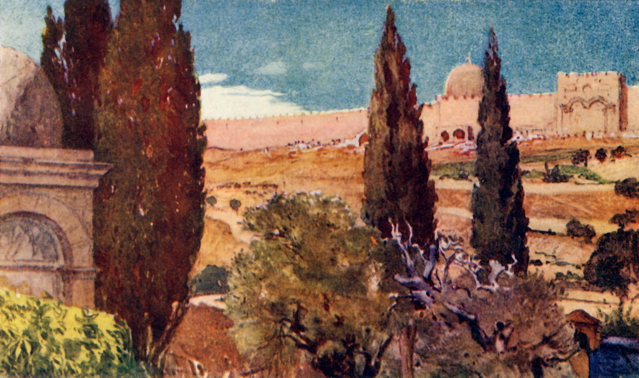 Getsemani Bahçesinin Selvileri, 1902. by John Fulleylove