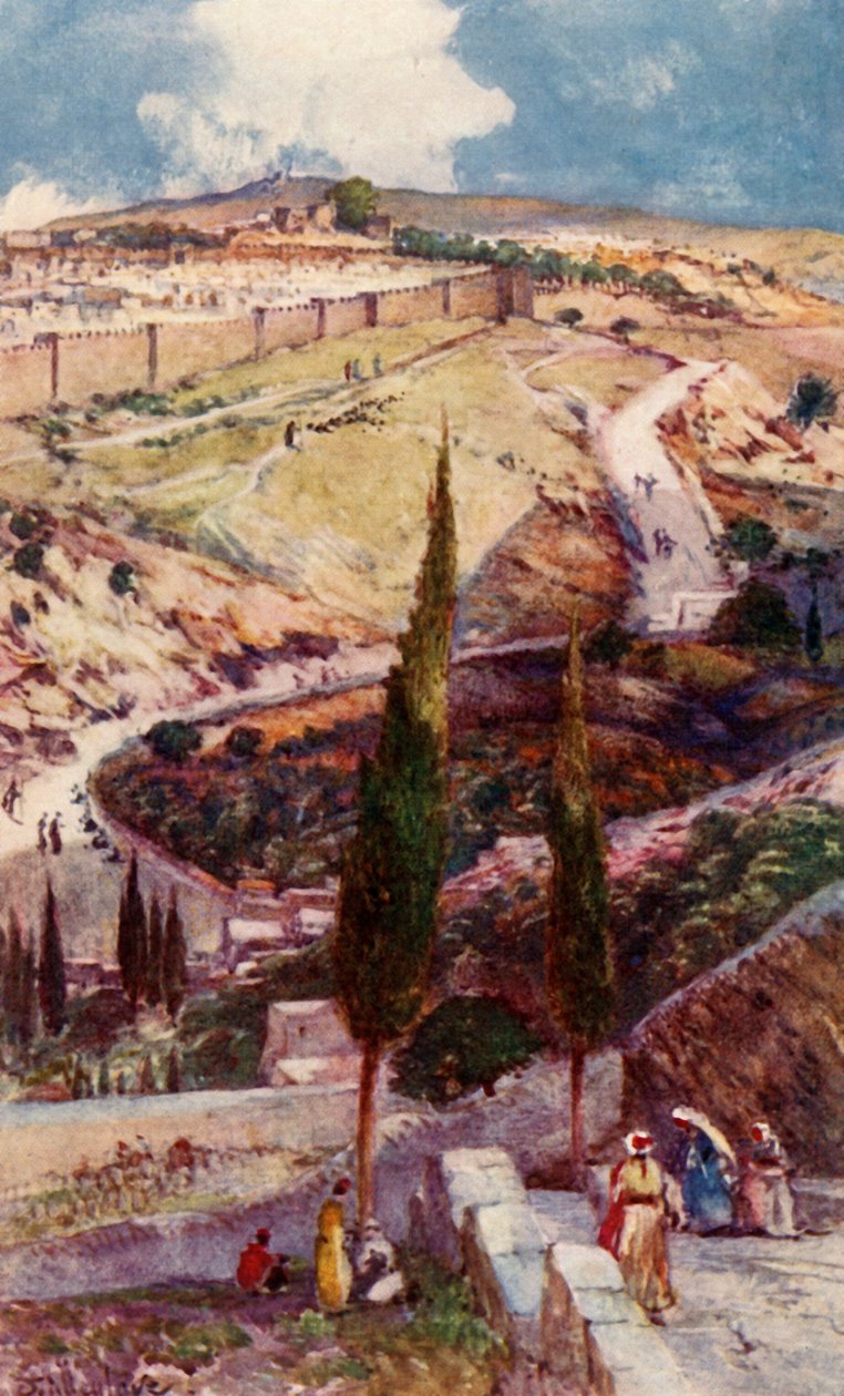 Zeytin Dağı