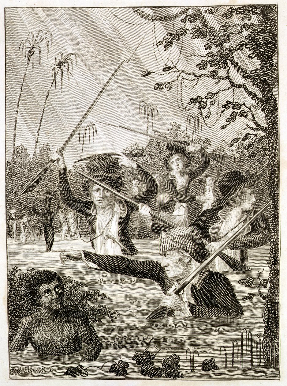 Terra Firma