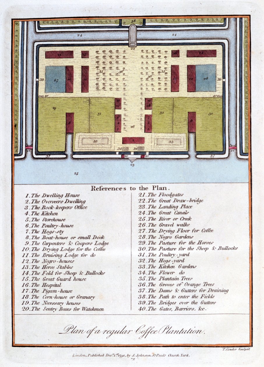 Sıradan Bir Kahve Tarlasının Planı, 1813 by John Gabriel Stedman