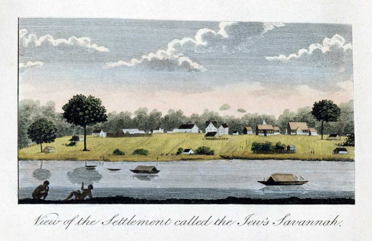 Yahudilerin Savannah adlı yerleşim yerinin görünümü, 1813 by John Gabriel Stedman