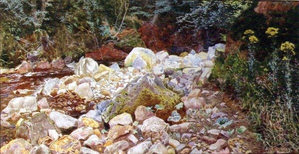 Rocky Stream (kağıt üzerine sulu boya) by John George Sowerby