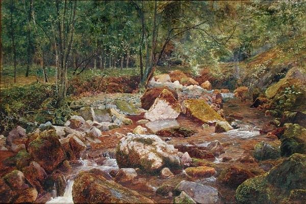 Ağaçlarla Sarkan Kayalık Bir Dere (kağıt üzerinde arap zamkı ile suluboya ve gövde rengi) by John George Sowerby