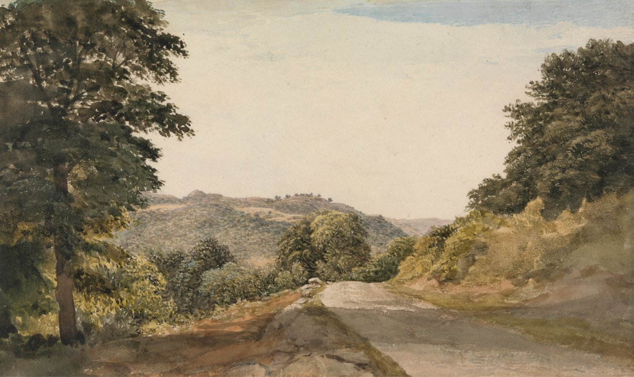 Bir Yorkshire Yolu by John Glover