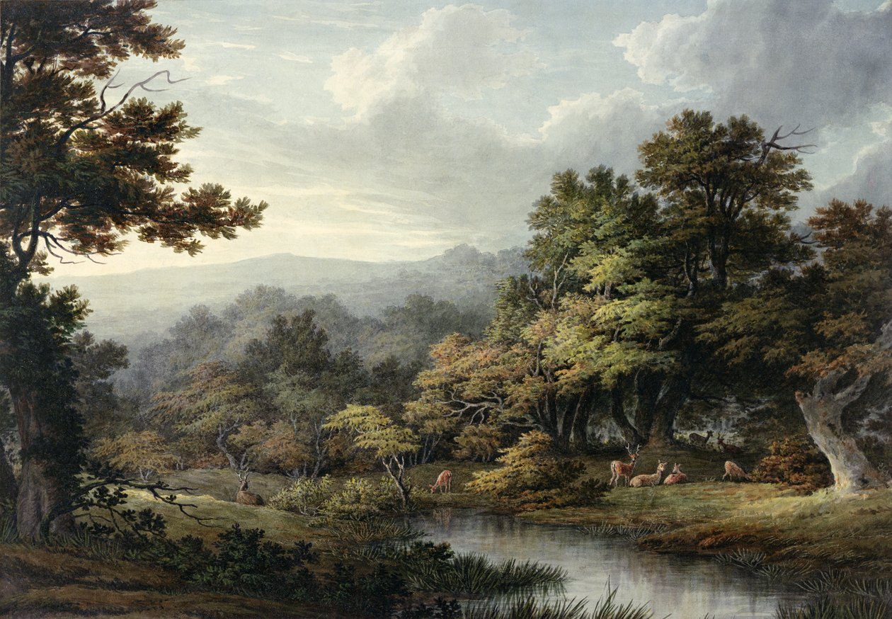 Havuzlu ve Geyikli Orman Glade (kağıt üzerine suluboya) by John Glover