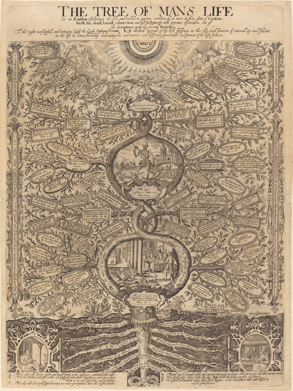 İnsanın Hayat Ağacı by John Goddard, after Richard Dey