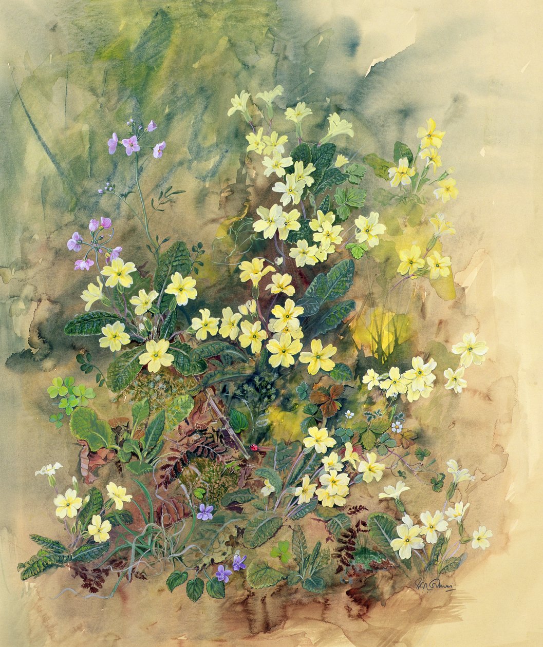 Primrose Bankası by John Gubbins