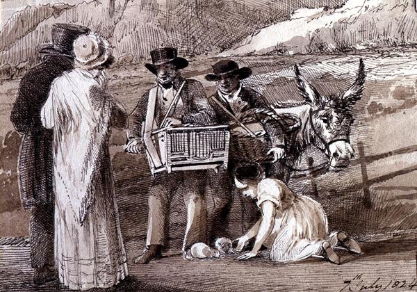 Kobay satan iki adam, birinin organ öğütücüsü var. by John Harden
