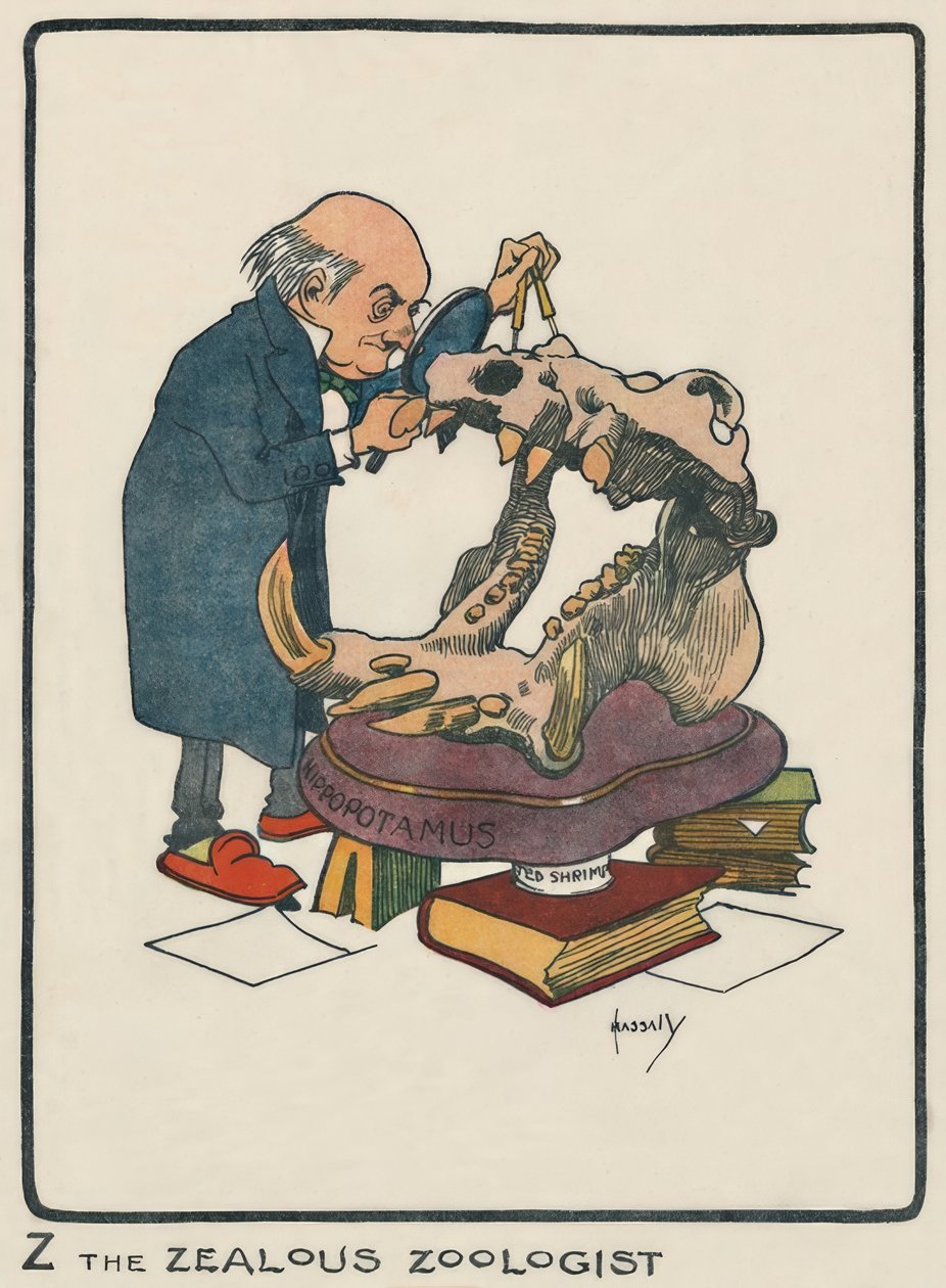 Gayretli Zoolog Z / J. Hassall / çizim, 1903 by John Hassall