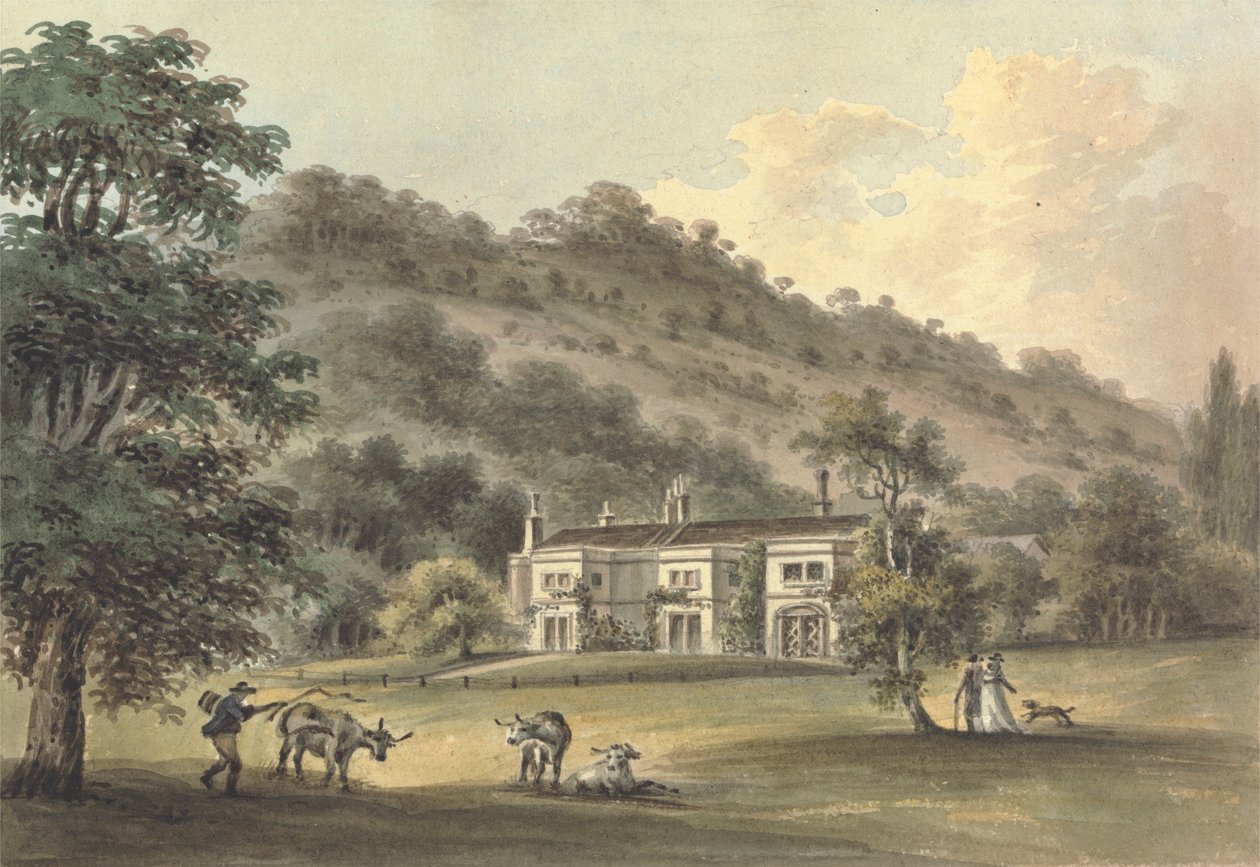 Grove Cottage, Box Hill, Surrey, George Barclay Esq'in Koltuğu. by John Hassell