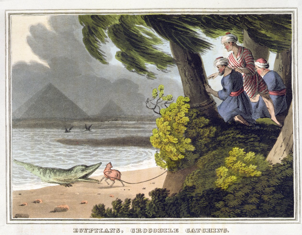 Mısırlılar Timsah Yakalama, Matthew Dubourg (fl.1785-1820) tarafından kazınmış, Edward Orme tarafından yayınlanmıştır. by John Heaviside (after) Clark