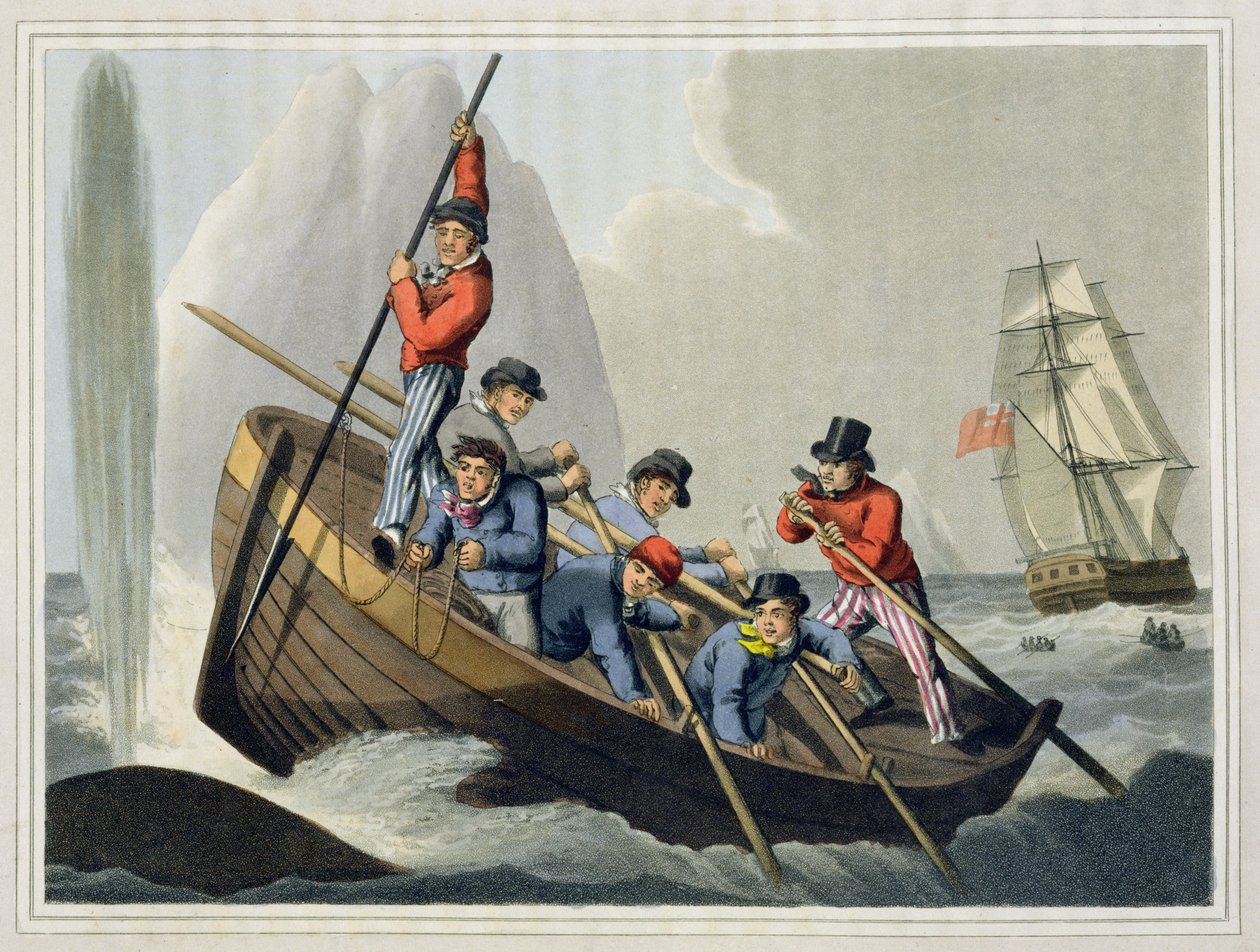 Matthew Dubourg (fl.1785-1820) tarafından oyulmuş, bir Balinaya Saldıran Bir Gemi Teknesi, Edward Orme tarafından yayınlanmıştır, 1813 by John Heaviside Clark