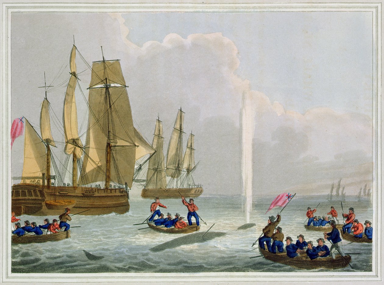 Bir Balinaya Yaklaşan Tekneler, Matthew Dubourg (fl.1785-1820) tarafından oyulmuş, Edward Orme tarafından yayınlanmış, 1813 by John Heaviside Clark