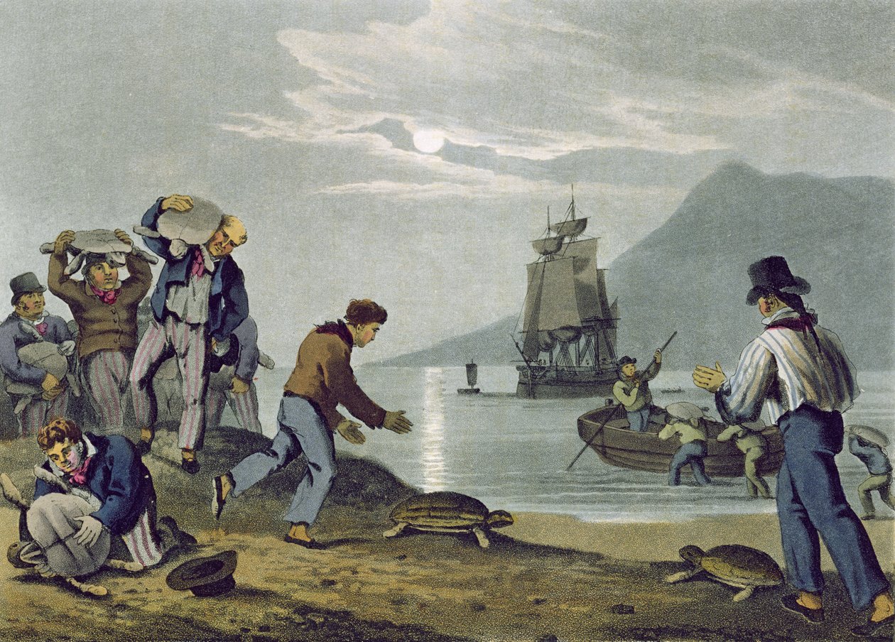 Karada Kaplumbağa Yakalayan, Matthew Dubourg (fl.1785-1820) tarafından oyulmuş, Edward Orme tarafından yayınlanmış, 1813 by John Heaviside Clark