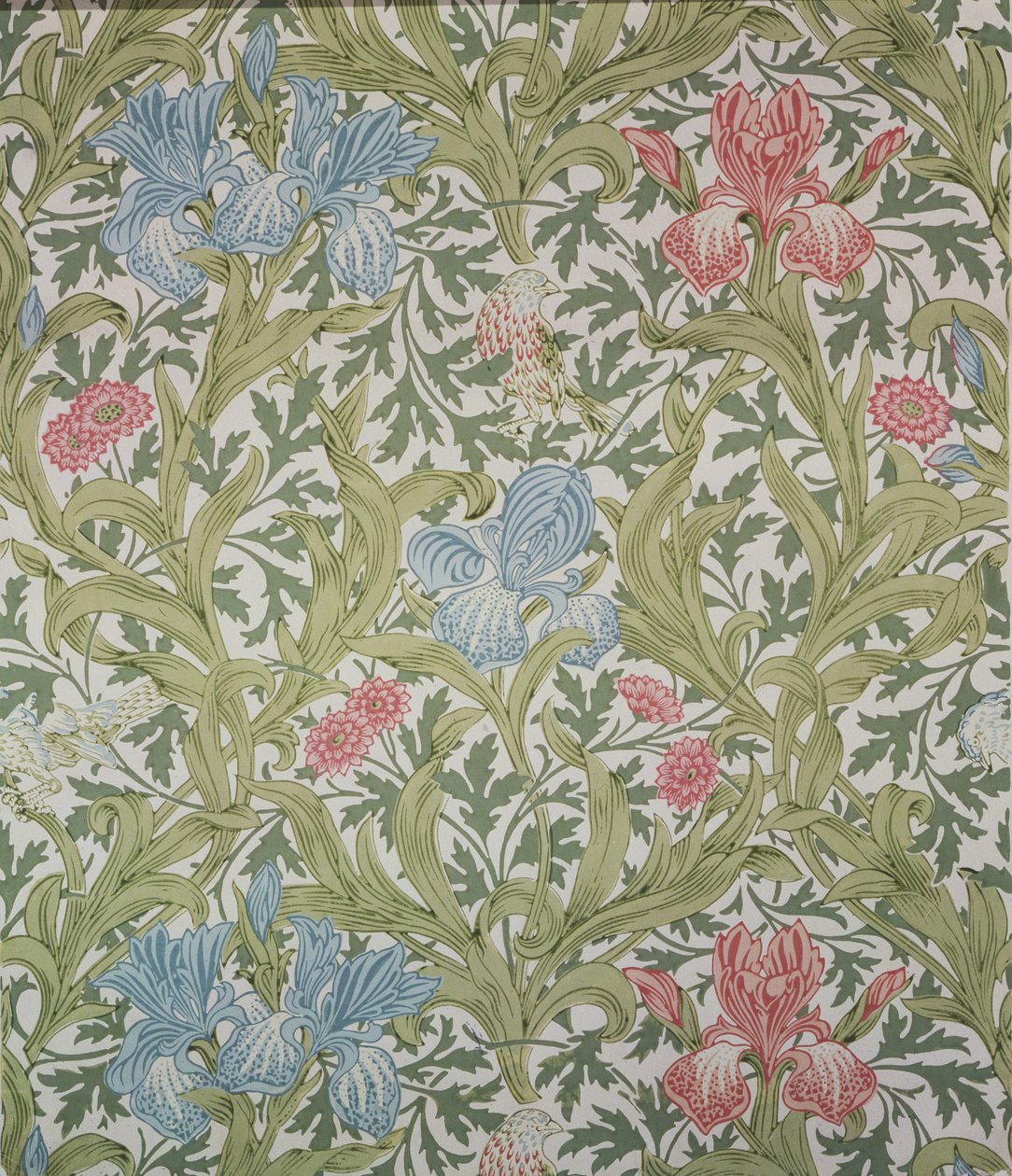 John Henry Dearle (1860-1932) tarafından Morris und Company için tasarlanan İris duvar kağıdı, 1902 by John Henry Dearle
