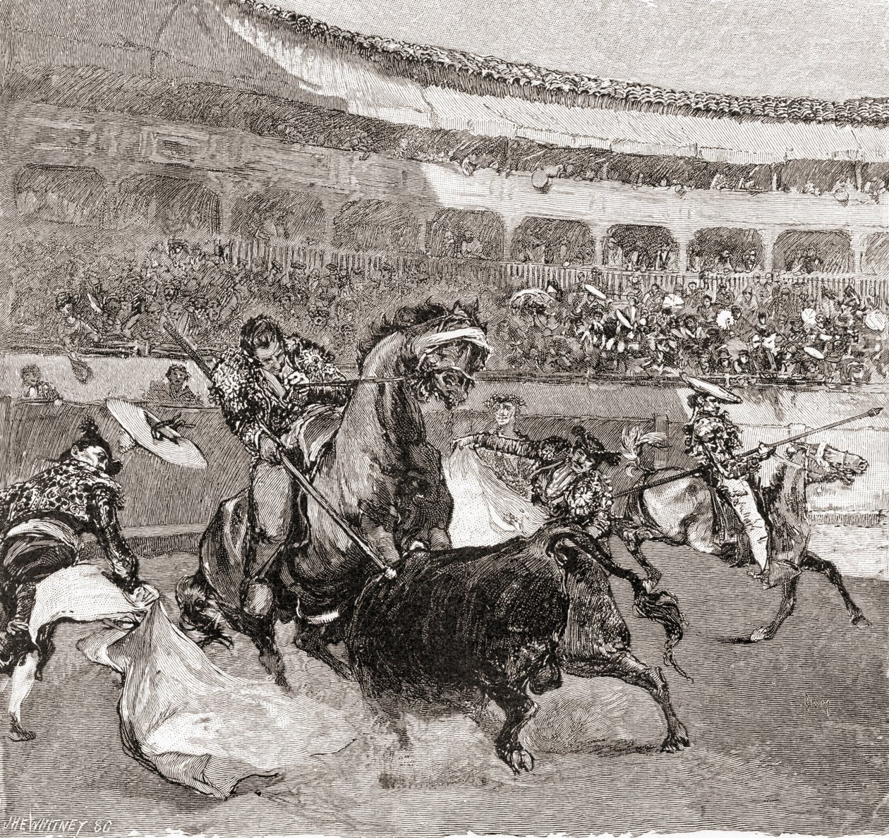 1884 yılında yayınlanan Century Illustrated Monthly Magazine