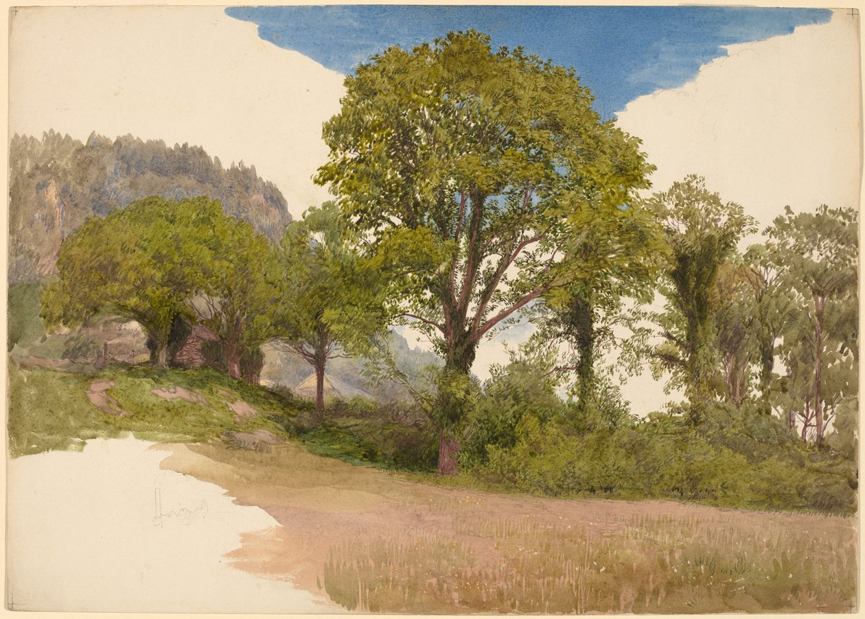 Gökyüzüne Karşı Profilli Ağaçlar by John Henry Hill