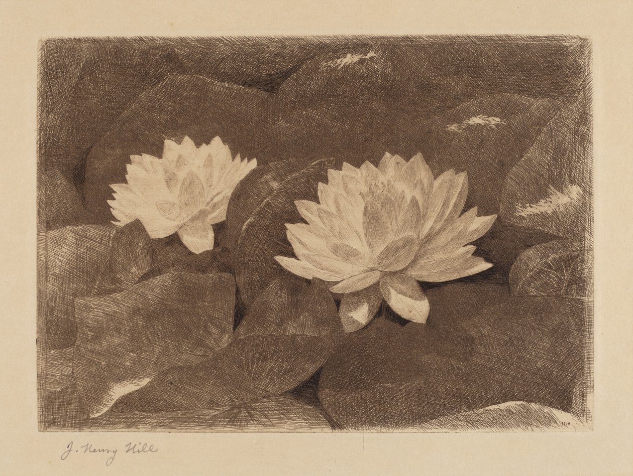 Su zambakları by John Henry Hill