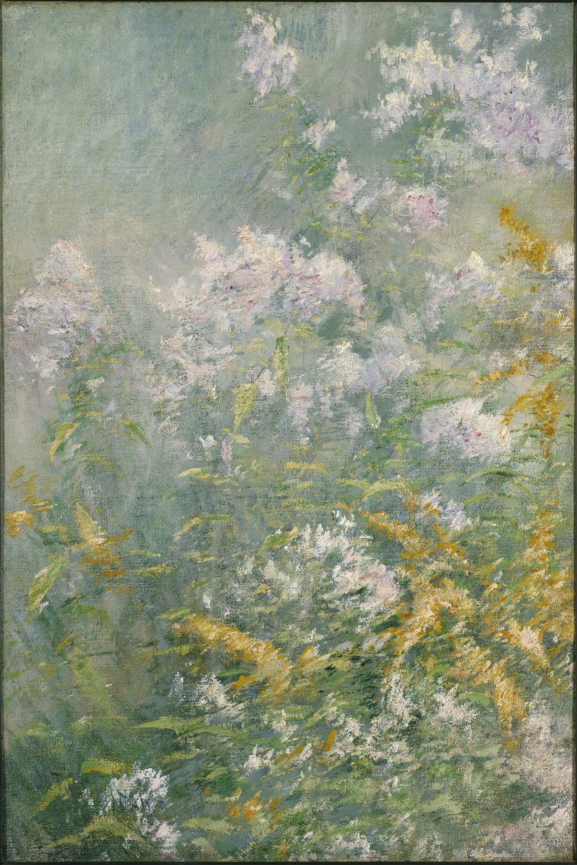 Çayır Çiçekleri (Altın Çubuk ve Yabani Aster), 1892 dolayları (tuval üzerine yağlı boya) by John Henry Twachtman