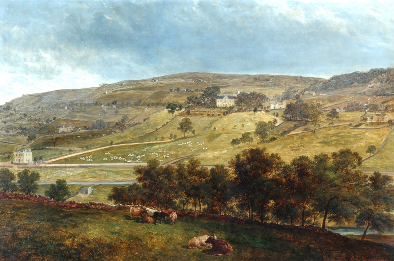Greenfields