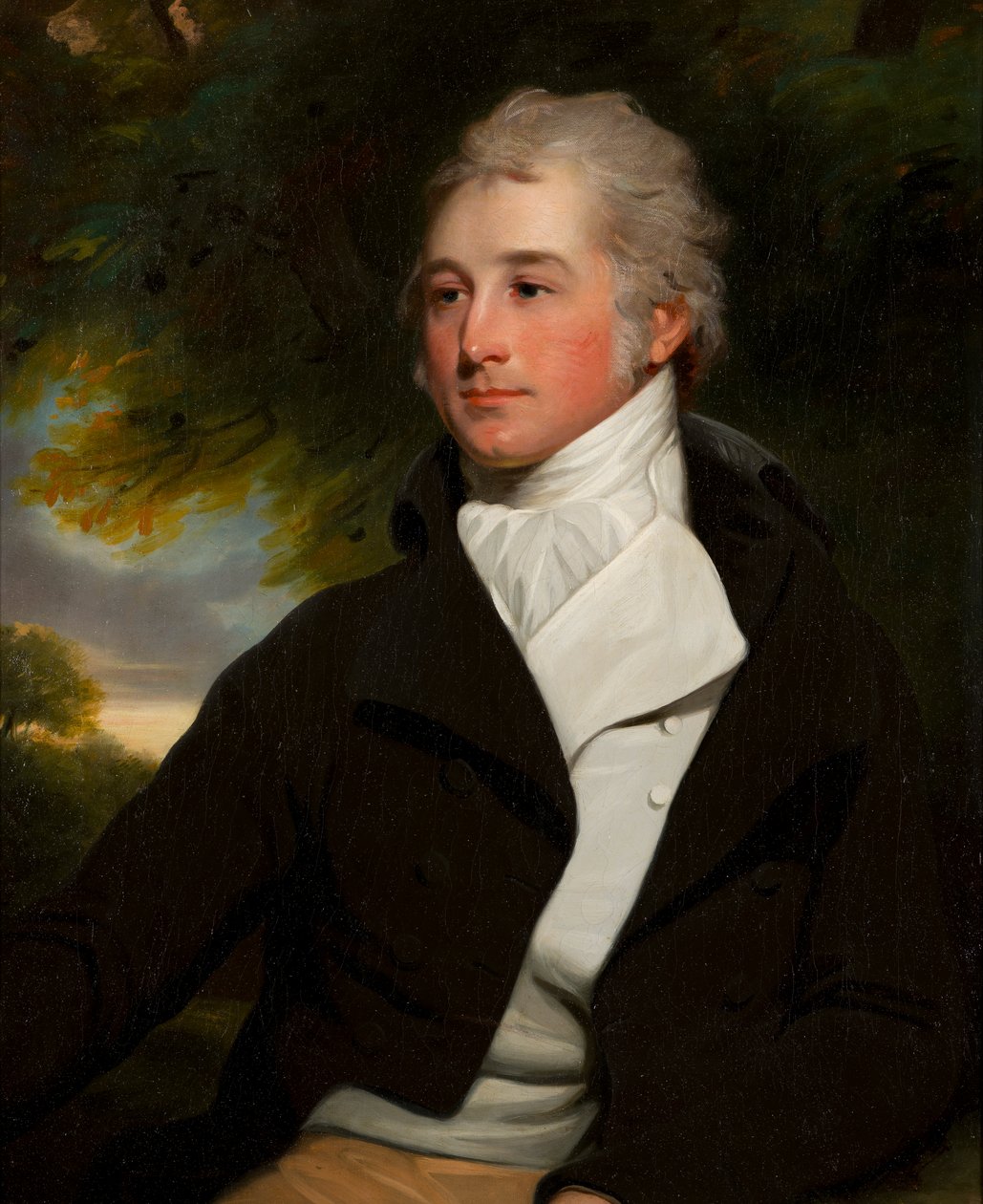 Hon portresi. John Bridgeman Simpson, c.1783-1810 (tuval üzerine yağlı boya) by John Hoppner