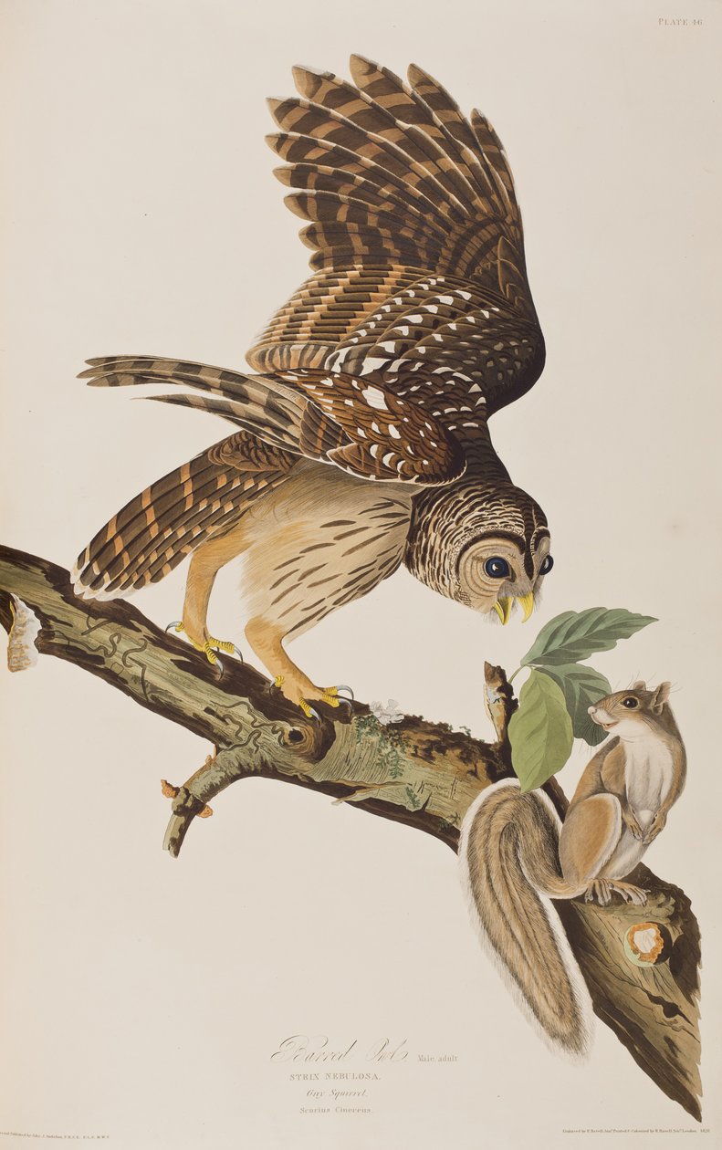 John James Audubon