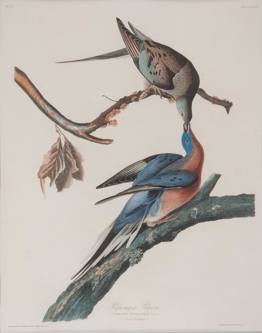  by John James Audubon