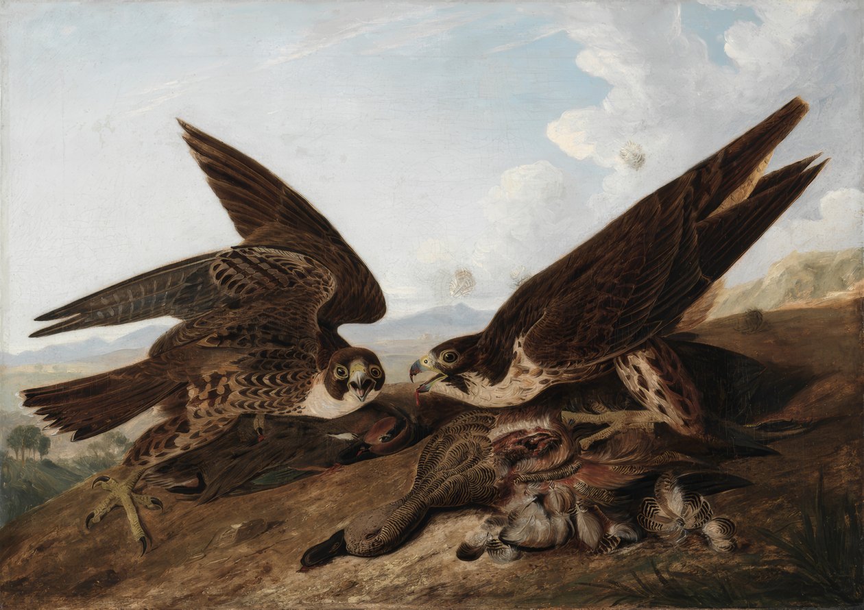  by John James Audubon