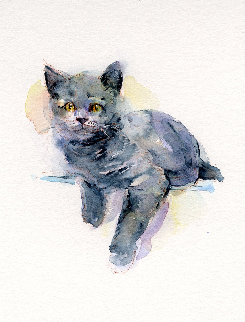 Gri kedi yavrusu, 2017, (suluboya) by John Keeling