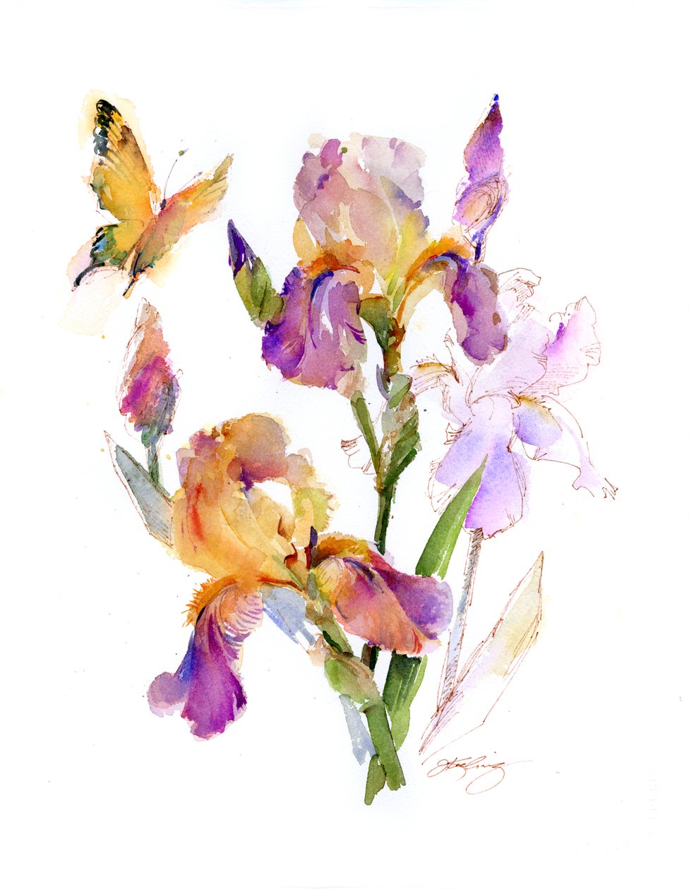 Sarı kelebekli iris, 2016, (suluboya) by John Keeling