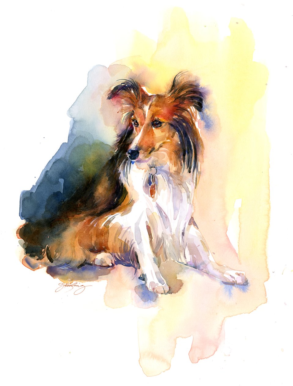 Sheltie portresi, 2015, (suluboya) by John Keeling