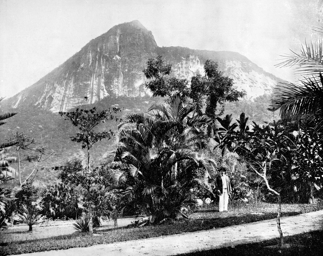 Botanik Bahçeleri ve Corcovado Dağı, Rio De Janeiro, Brezilya, 1893. by John L. Stoddard