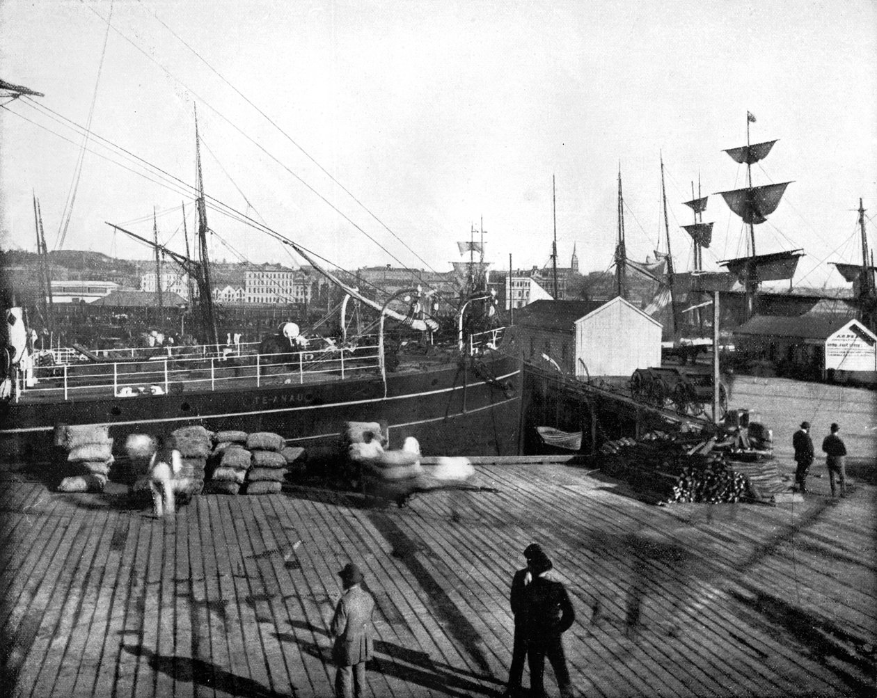 Auckland Limanı, Yeni Zelanda, 1893. by John L. Stoddard