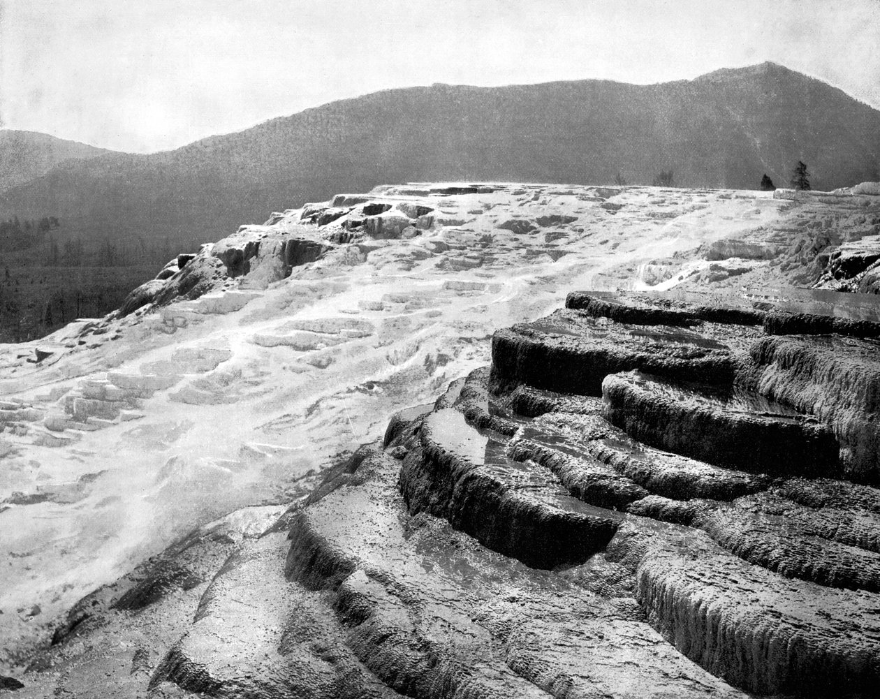 Mamut Kaplıcaları, Yellowstone Ulusal Parkı, ABD, 1893. by John L. Stoddard