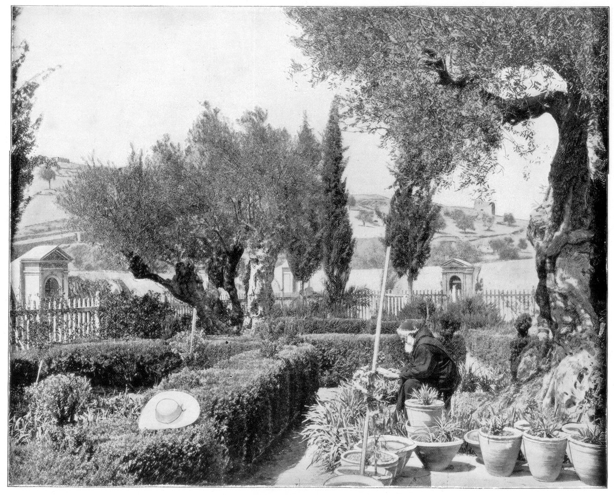 Gethsemane Bahçesi, Filistin, 19. yüzyılın sonlarında. by John L. Stoddard