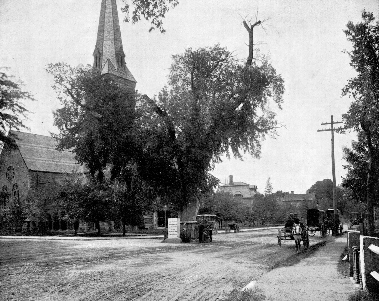 Washington Elm ve Memorial Stone, Cambridge, Massachusetts, ABD, 1893. by John L. Stoddard