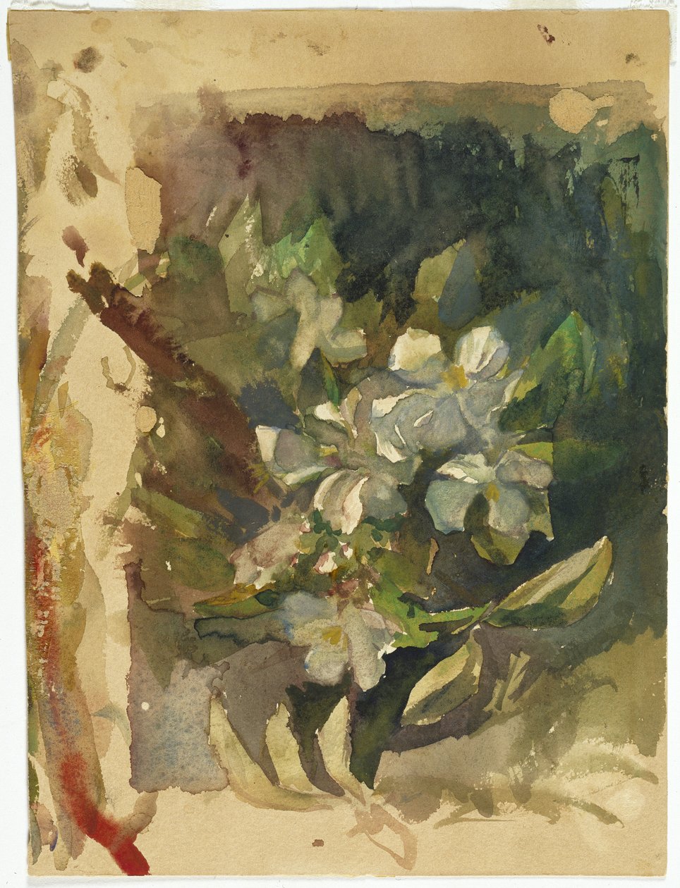 Güneş Işığında Elma Çiçekleri (kağıt üzerinde wc) by John La Farge or Lafarge