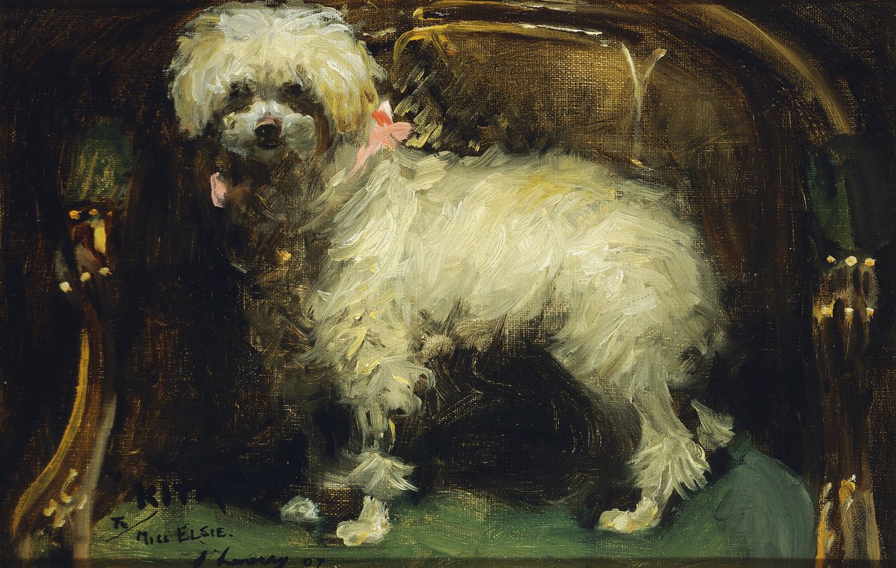 Biz by John Lavery