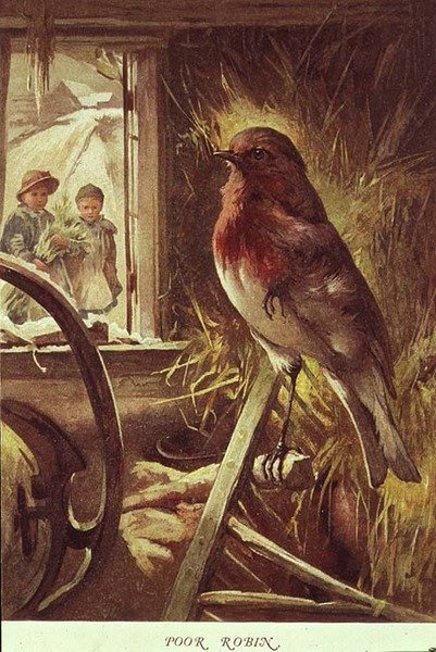 Zavallı Robin, Paul Lawson tarafından yazılan 