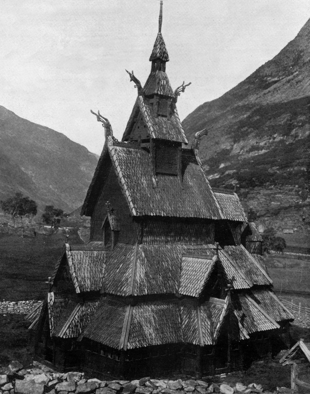 Norveç